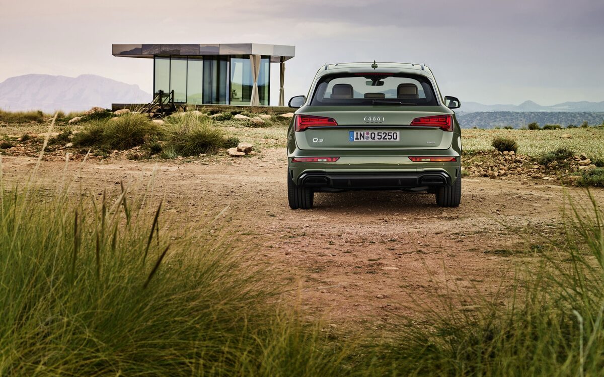Audi Q5 in District Green, seen from directly behind on open ground